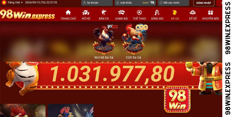 Hướng dẫn đặt cược đá gà 98Win