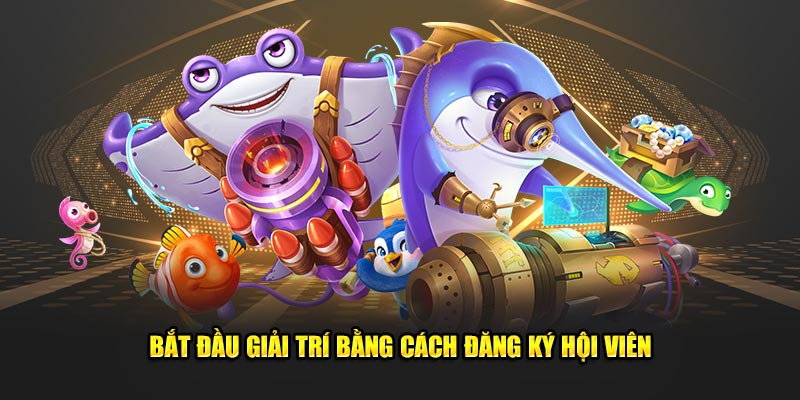 Bắt đầu giải trí bằng cách đăng ký hội viên