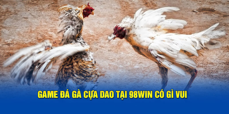 Cá Cược Đá Gà Cựa Dao Tại 98win Có Gì Thu Hút Người Chơi