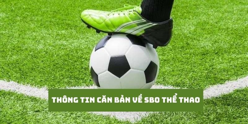 Sảnh thể thao thu hút thu hút đông đảo bet thủ