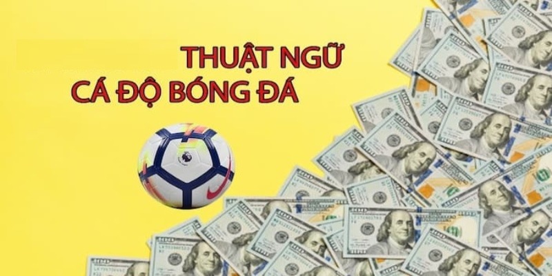 Tìm hiểu về thuật ngữ trong cá độ bóng đá